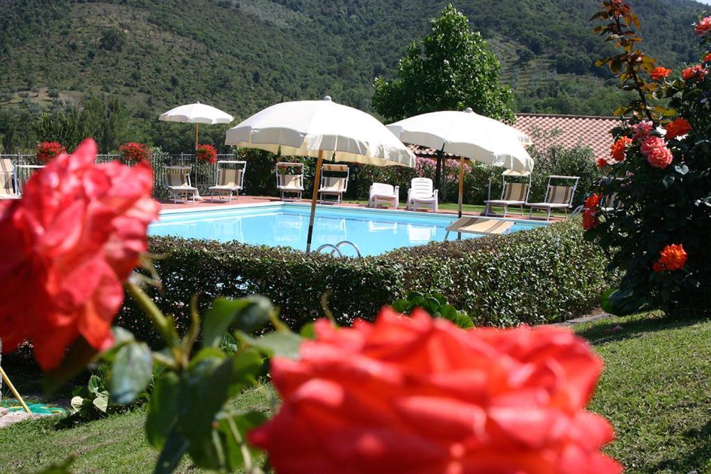 Agriturismo Cortoreggio กอร์โตนา ภายนอก รูปภาพ