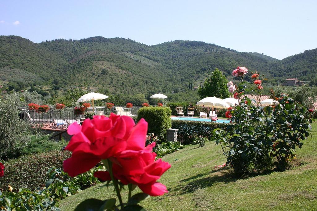 Agriturismo Cortoreggio กอร์โตนา ภายนอก รูปภาพ