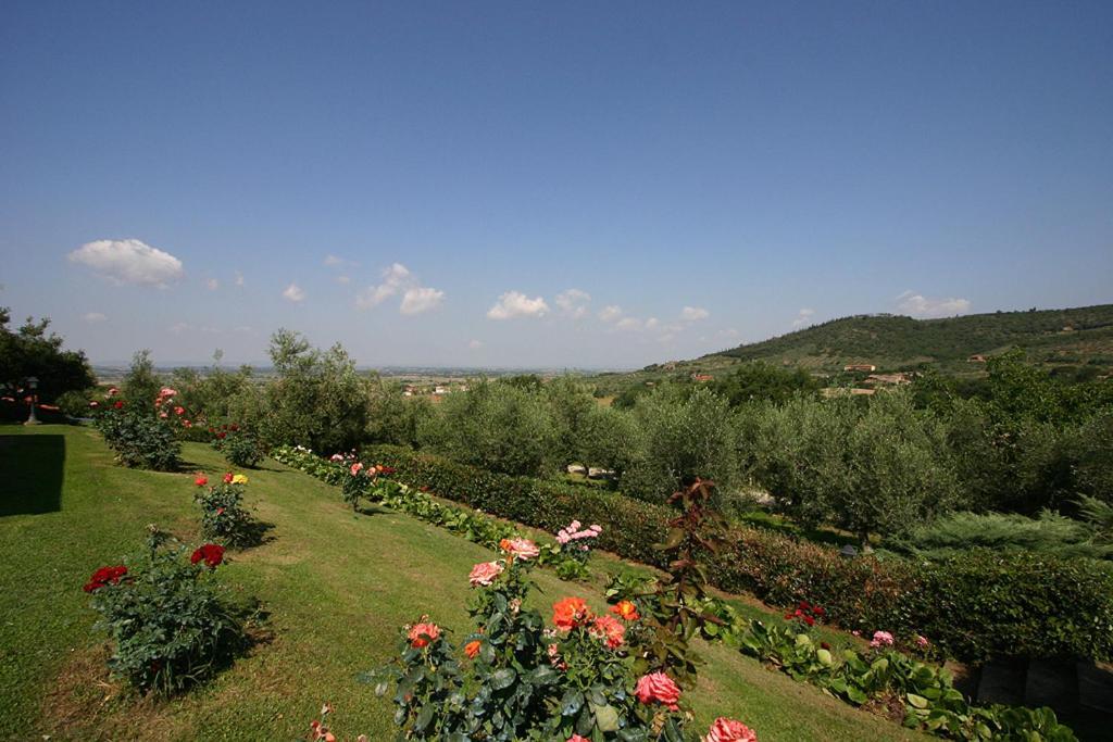 Agriturismo Cortoreggio กอร์โตนา ภายนอก รูปภาพ