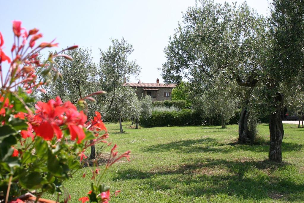 Agriturismo Cortoreggio กอร์โตนา ภายนอก รูปภาพ