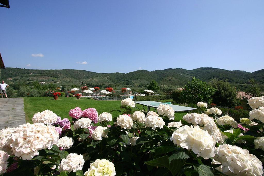 Agriturismo Cortoreggio กอร์โตนา ภายนอก รูปภาพ