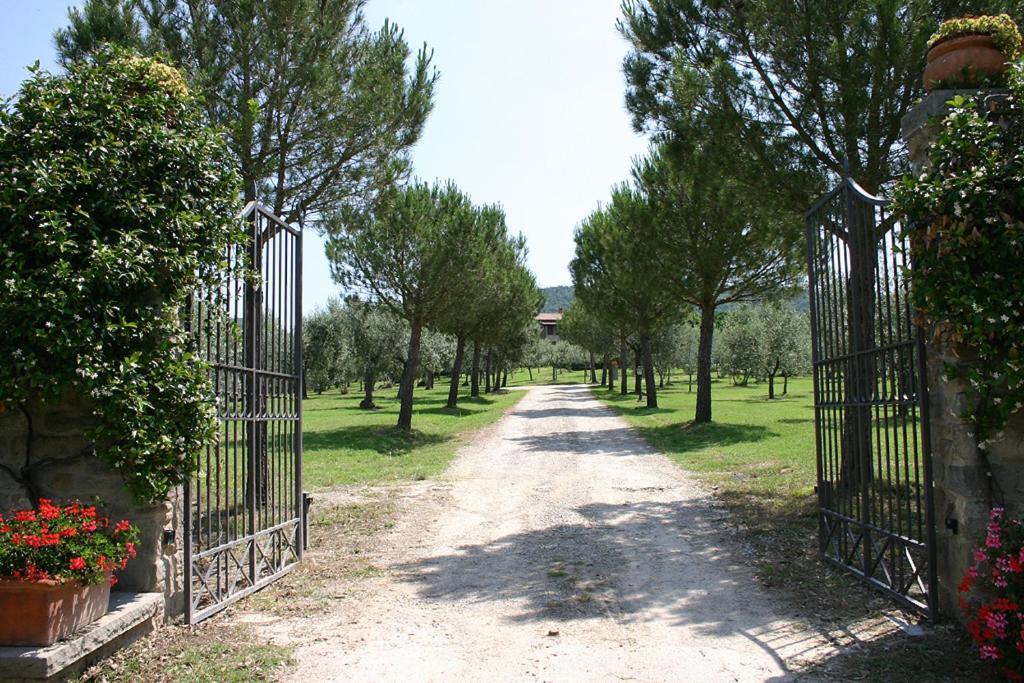 Agriturismo Cortoreggio กอร์โตนา ภายนอก รูปภาพ